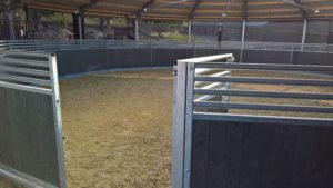 Hier ein Bild unserer neuen Longierhalle