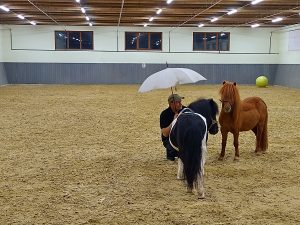 Andreas Pill und die Zauberponies Odette & Oliver